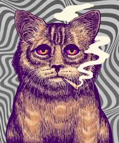 Psychedelic Cat Smoking Paint By Numbers