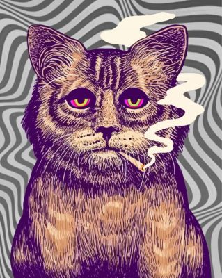 Psychedelic Cat Smoking Paint By Numbers