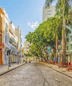 Recife Streets Paint By Numbers