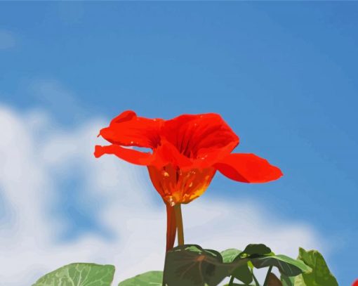 Red Nasturtium Paint By Numbers