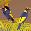 Regent Bowerbirds Paint By Numbers