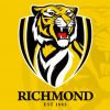 Richmond Fc Paint By Numbers