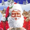 Santa Claus With Cats Paint By Numbers