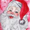 Santa face Paint By Numbers