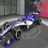 Sauber Racing Car Paint By Numbers