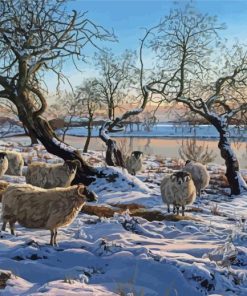 Sheep In Snow Paint By Numbers