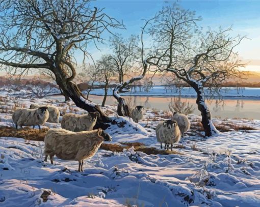 Sheep In Snow Paint By Numbers