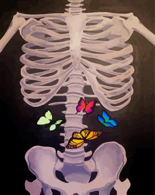 Skeleton With Butterflies Art Paint By Numbers