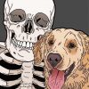 Skull And Dog Paint By Numbers