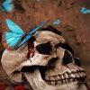 Skulls And Butterflies Paint By Numbers