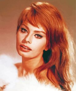 Sophia Loren Paint By Numbers