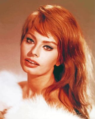 Sophia Loren Paint By Numbers