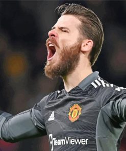 Spanish David De Gea Paint By Numbers