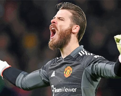 Spanish David De Gea Paint By Numbers