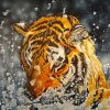 Splash Tiger Paint By Numbers