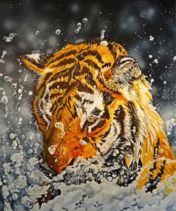 Splash Tiger Paint By Numbers