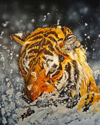 Splash Tiger Paint By Numbers