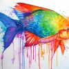 Splatter Colorful Fish Paint By Numbers