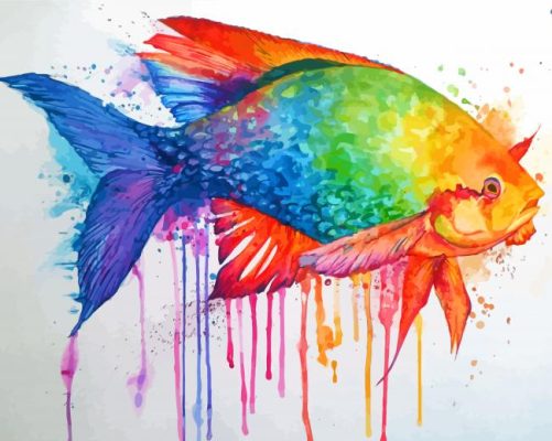 Splatter Colorful Fish Paint By Numbers