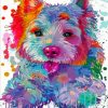 Splatter Colorful Westie Paint By Numbers