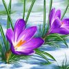 Spring Flower In Snow Art Paint By Number