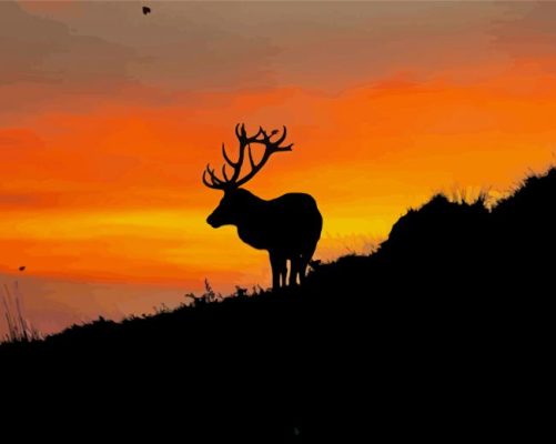 Sunrise Deer Paint By Numbers