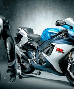 Suzuki Gsxr Driver Paint By Numbers