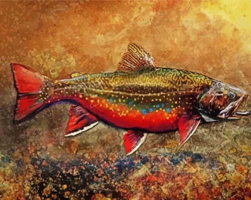 The Brook Trout Fish Paint By Numbers