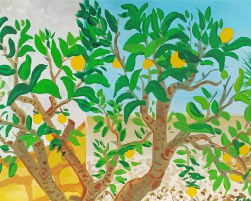 The Lemon Trees Paint By Numbers