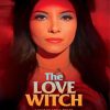 The Love Witch Movie Poster Paint By Number