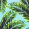 Tropical Palm Leaves Paint By Numbers