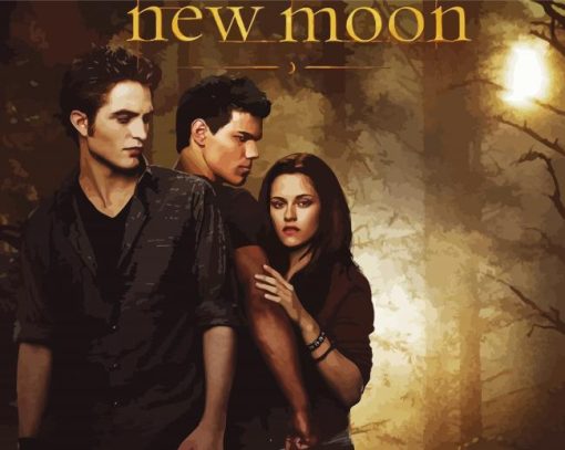 Twilight New Moon Film Poster Paint By Numbers