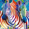 Two Colorful Zebra Animal Paint By Numbers