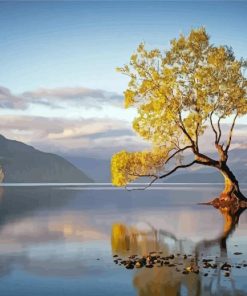 Water And Trees Paint By Numbers