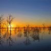 Water And Trees Reflection At Sunset Paint By Number