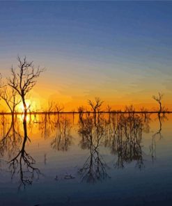 Water And Trees Reflection At Sunset Paint By Number