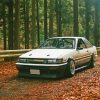 White Ae86 In The Forest Paint By Numbers