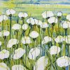 White Poppies Field Paint By Numbers