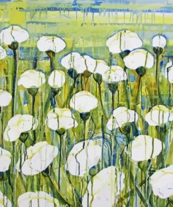 White Poppies Field Paint By Numbers