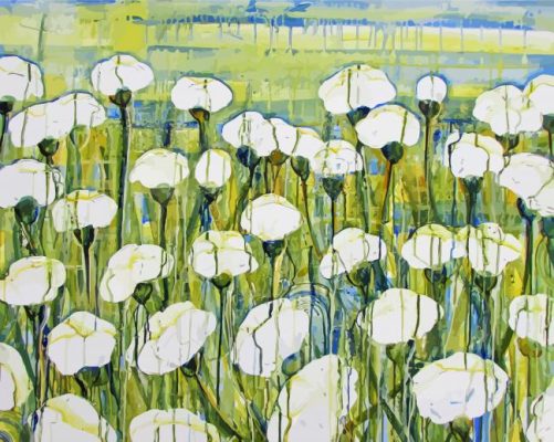 White Poppies Field Paint By Numbers