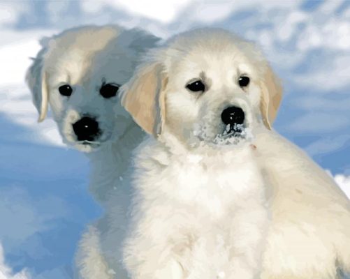 White Golden Retriever Puppies In Snow Paint By Number