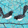 Willie Wagtail Birds Art Paint By Numbers