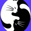 Yin And Yang Cats Paint By Numbers