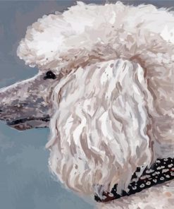 Abstract White Poodle Paint By Numbers