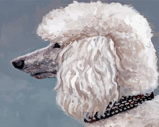 Abstract White Poodle Paint By Numbers