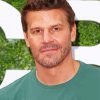 Actor David Boreanaz Paint By Numbers