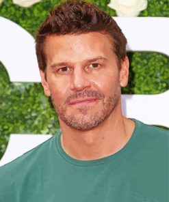 Actor David Boreanaz Paint By Numbers