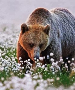 Adorable Bear In Flowers Field Paint By Numbers