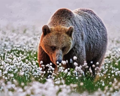 Adorable Bear In Flowers Field Paint By Numbers