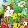 Adorable Cat In Garden Paint By Numbers